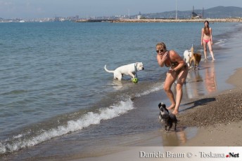 Piombino - Dog Beach Perelli014
