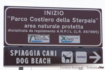 Beschilderung zum Dog Beach Mortelliccio