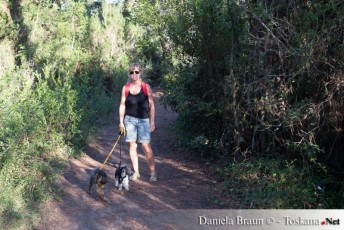 Weg durch den Pinienwald zum Hundestrand Punta Ala