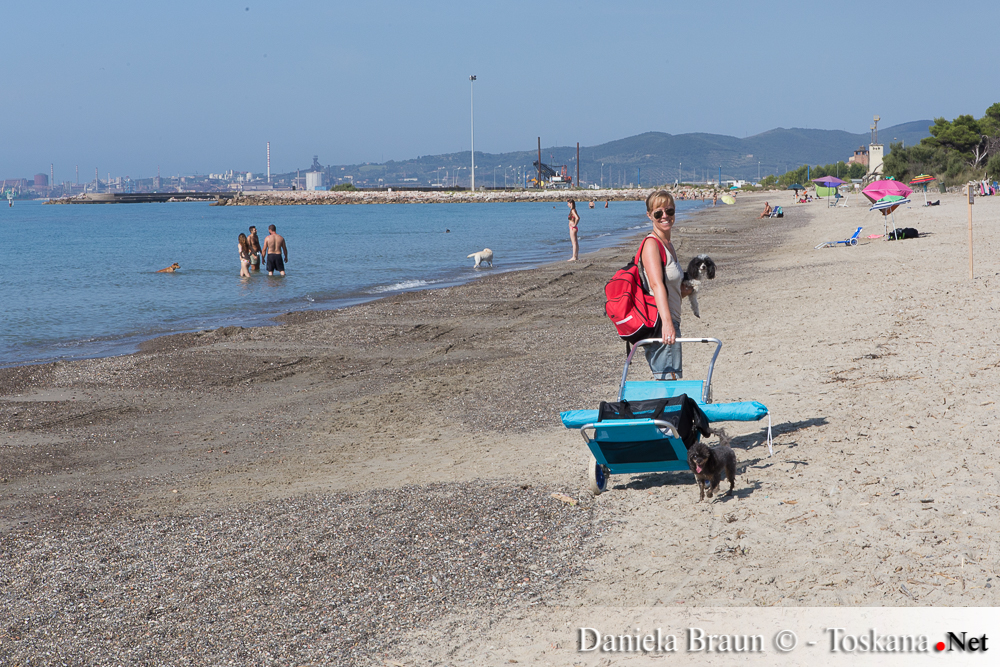 Piombino - Dog Beach Perelli011